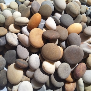 100 Beach stones 2 to 3 cm, 0.8 to 1.2 inches, small atlantic beach stones, rocks, bulk 100 pieces, natural beach stones, pebbles for craft