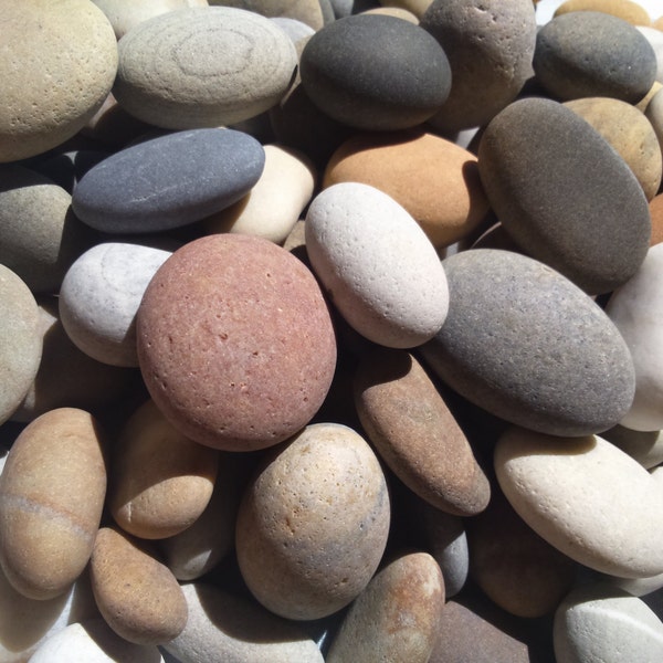 50 Strandsteine 3 bis 4 cm, 1,18 bis 1,57 Zoll, kleine Atlantik Strandsteine, Felsen, 50 Stück, naturbelassene Strandsteine, Bastelkiesel