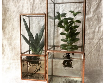 Hydroponic terrarium, LARGE SIZE hydroponic glass box for succulents, easy roots system, hydroponic garden hydroponic planter indoor graden.