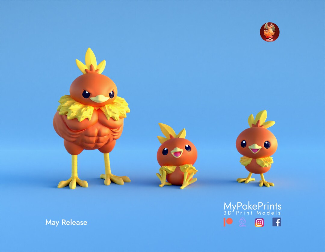 Gen 3 Torchic Starter 3D Printed Etsy