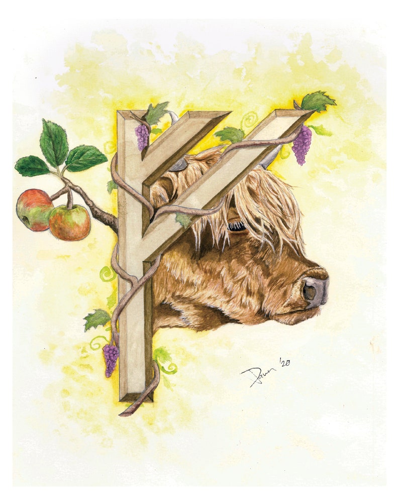 K&ouml;nnte beinhalten: Ein Aquarellbild eines braunen Hochlandrindes mit wei&szlig;em Gesicht und langem, struppigem Fell. Die Kuh befindet sich hinter einem h&ouml;lzernen Runensymbol, um das sich Ranken und Trauben winden. Der Hintergrund ist in einem sanften Gelb gehalten.