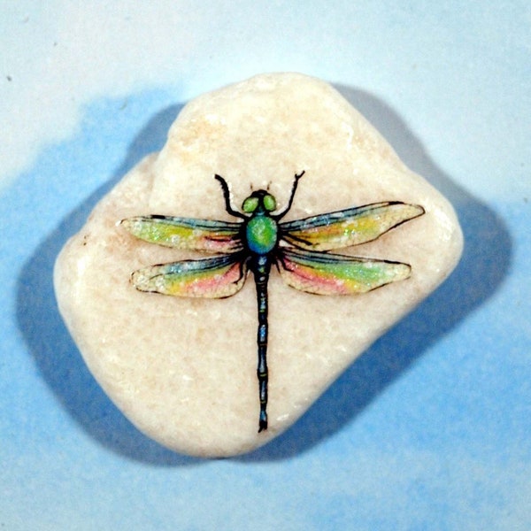 Dragonfly Stone, Colorful Magic Pocket Rock, Metaphysical Gift for Insect Lover, Original Art Totem on Stone