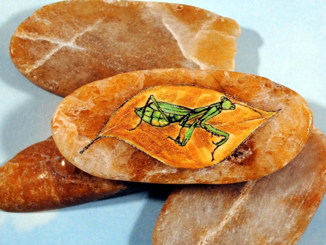 Praying Mantis Stone Totem Spirit Guide Magic Pocket Stone Etsy