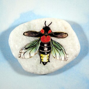 May include: A painted stone featuring a detailed insect design. The insect has a black body with red and yellow markings, and green and clear wings. The stone is white and sits against a light blue background.