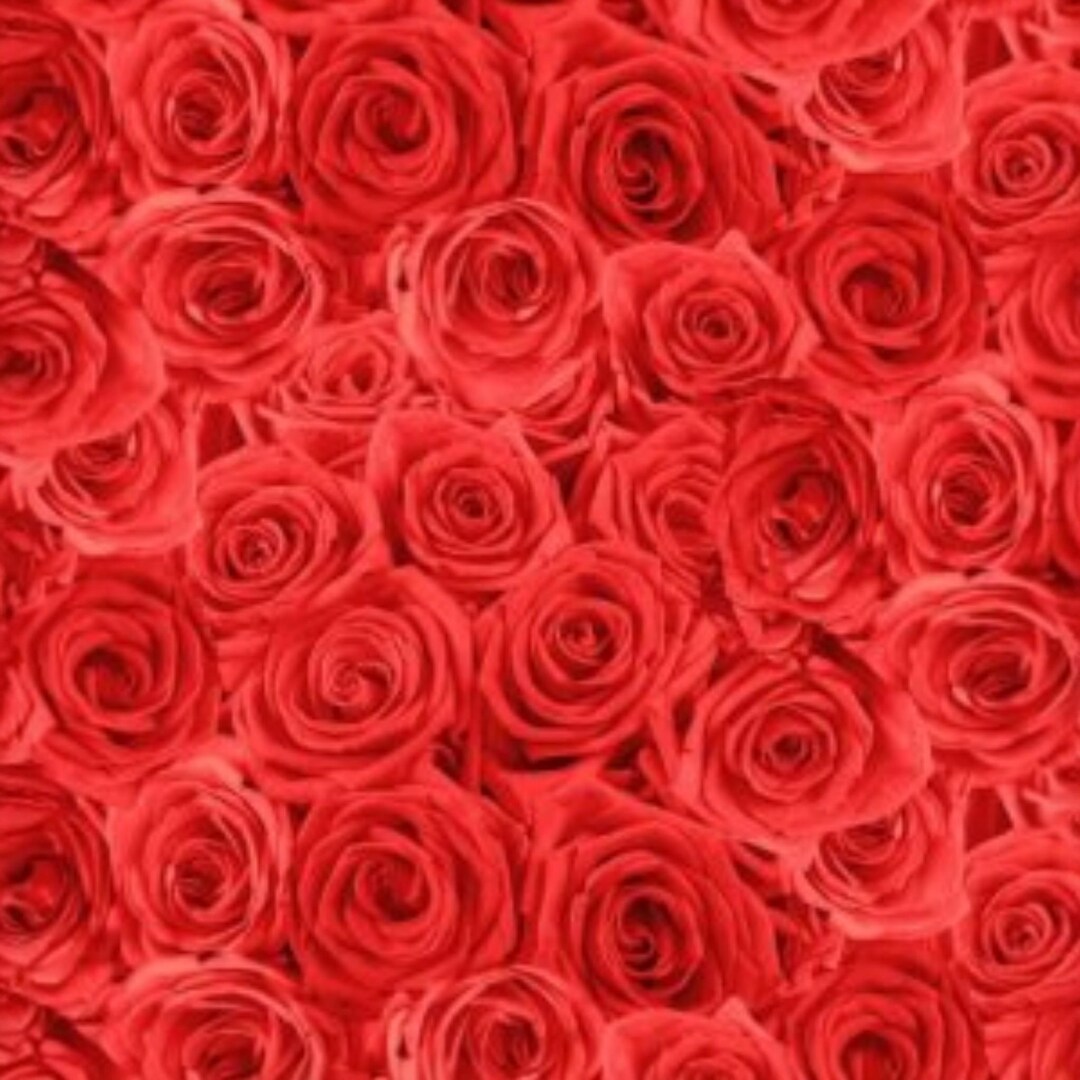 Red Roses Cotton Fabric Timeless Treasures by the Yard - Etsy