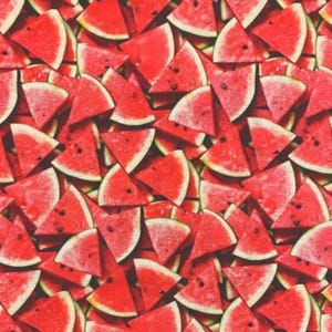 A La Carte Watermelon Slice of Life Cotton Fabric Windham By the Yard