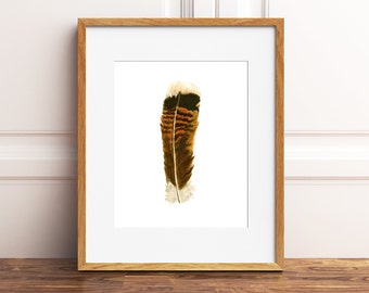 Turkey feather watercolor painting print, indian feather, single feather, Native American style, tribal, boho