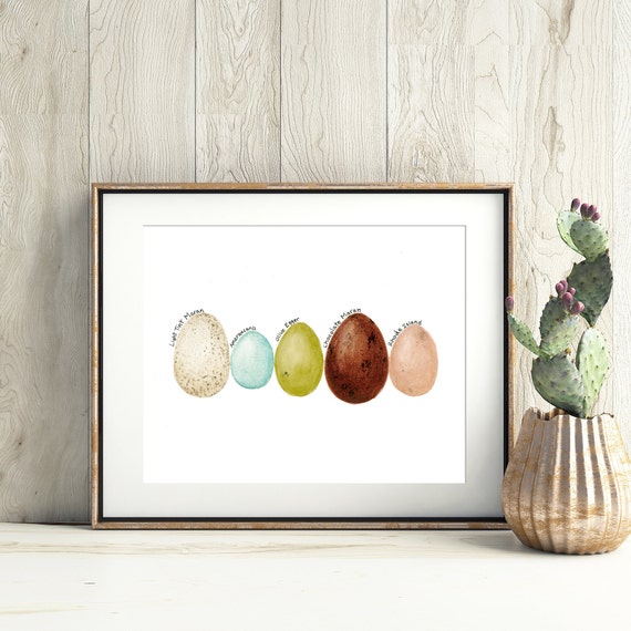 Bunte Eier Aquarell Ameraucana Maran Kuckuck Schokolade Etsy