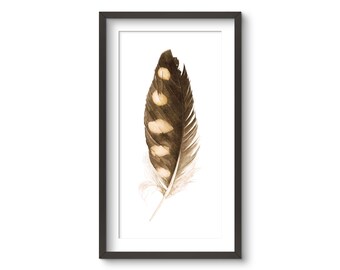 Saw Whet Owl Feather, print of watercolor feather, Midwest art, Native American style art owl feather.