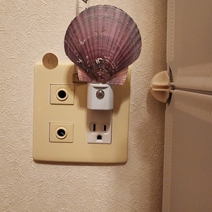 Shell Night Light (D)