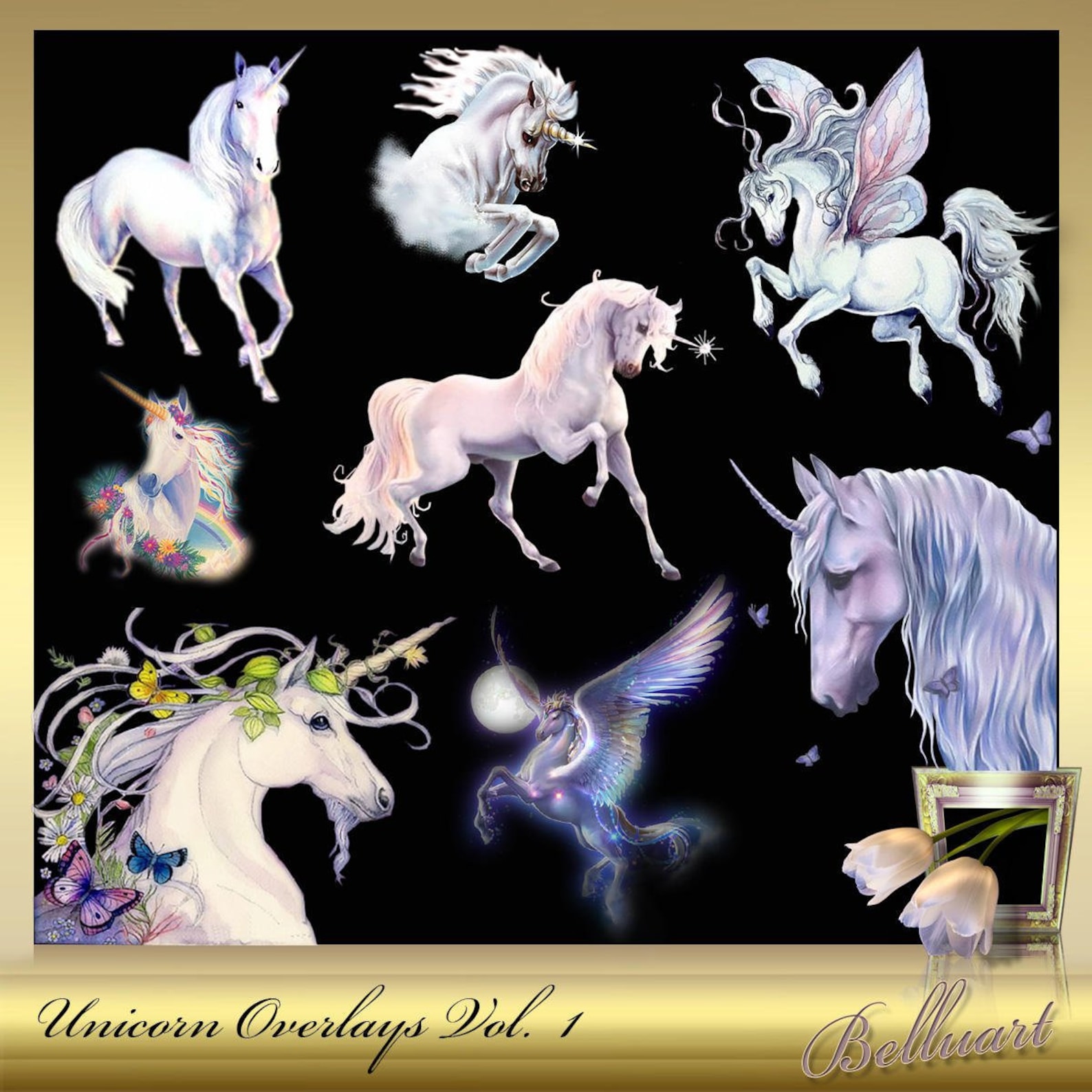 8 Unicorn Overlay Vol 1 Unicorn Overlays magical effect 8 Unicorn Overlay Vol 1 Unicorn Overlays magical effect