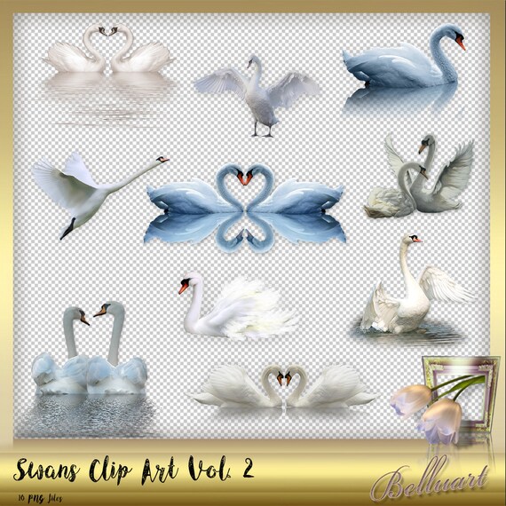10 Cygnes Clipart Vol 2 Oiseaux Damour Clip Art Clipart Mariage Cygnes En Amour Clipart Superpositions De Cygne Téléchargement Immédiat