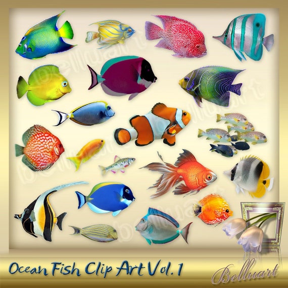 25 Ocean Fish Clipart Vol 1 Tropical Fish Clipart Sea Etsy