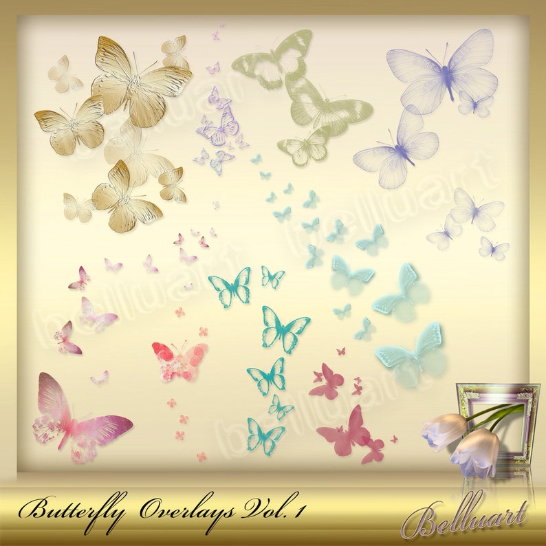 10 Butterfly Overlays Vol. 1 Butterflies Clip Etsy