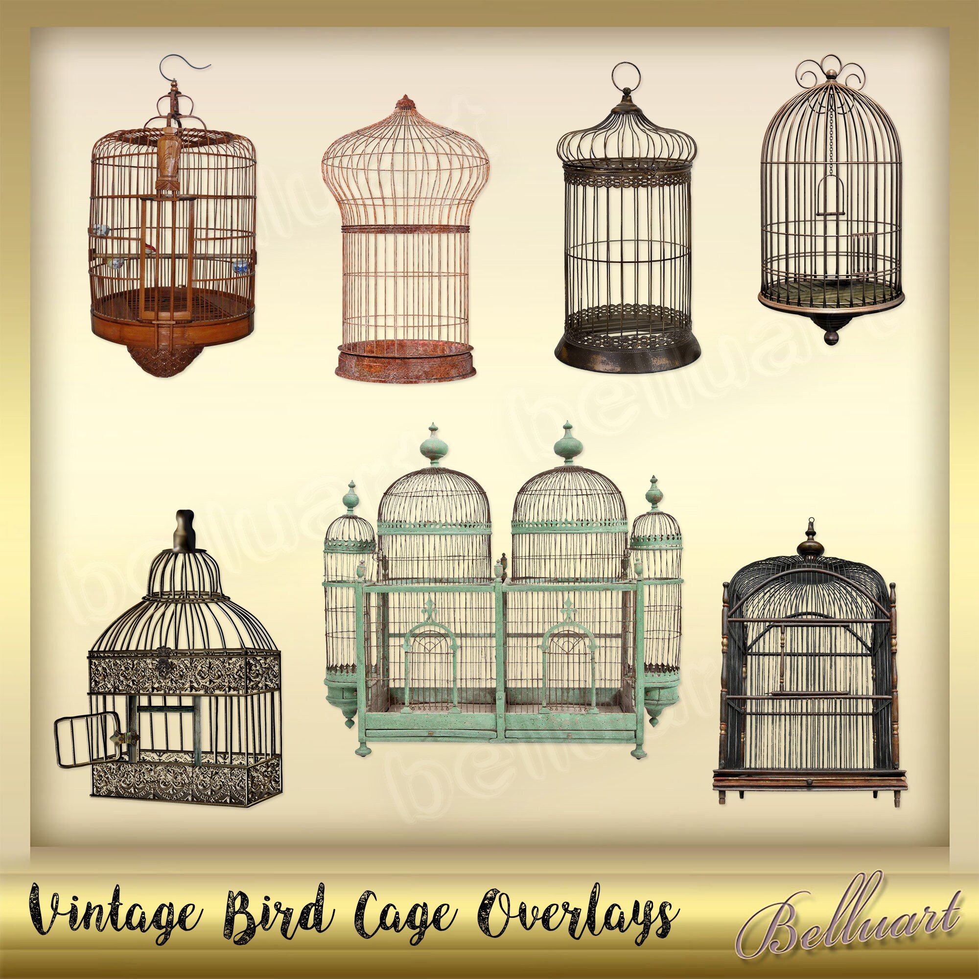 Bird Cage Overlays Bird Cage Clip Art Separate PNG Files Etsy Australia