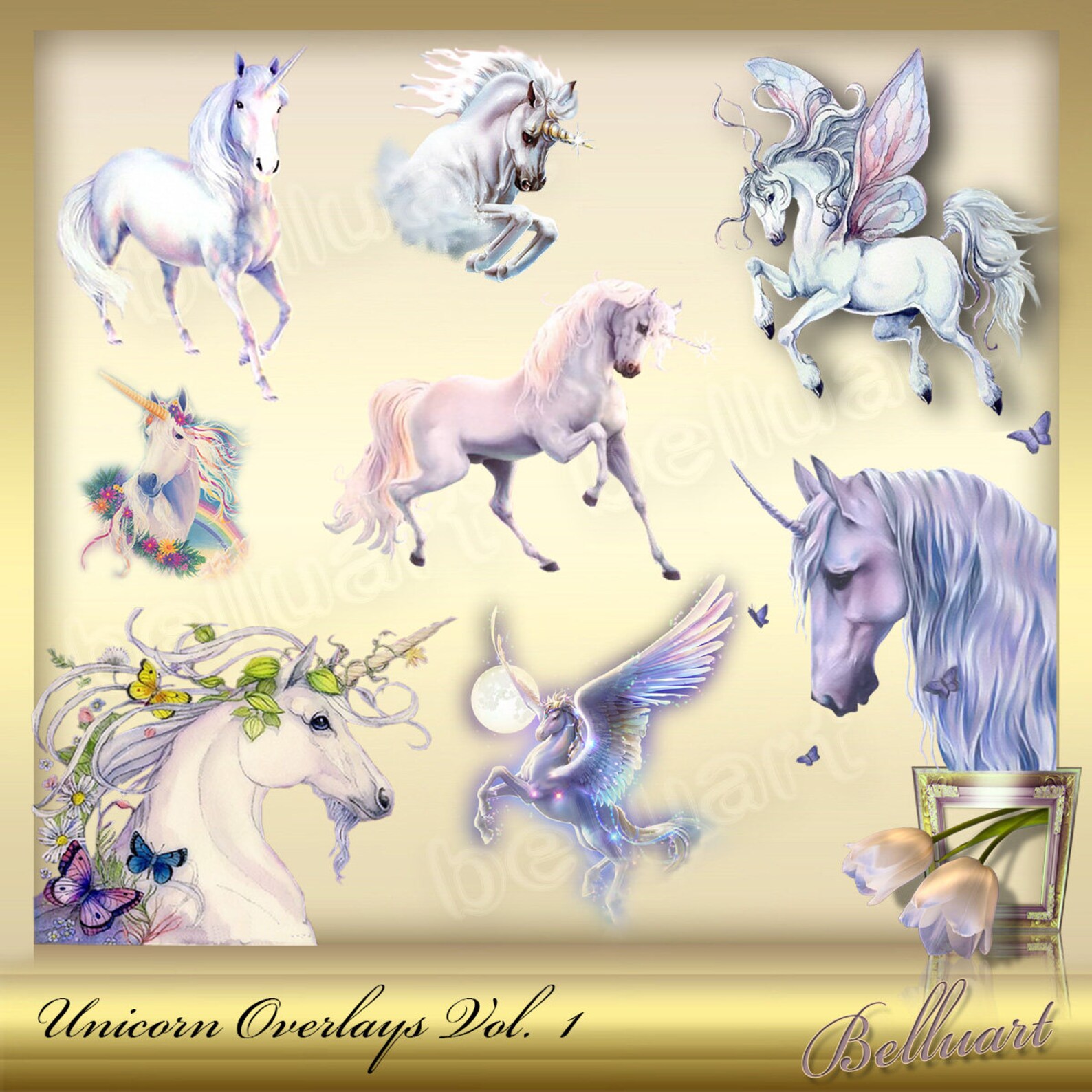 8 Unicorn Overlay Vol 1 Unicorn Overlays magical effect 8 Unicorn Overlay Vol 1 Unicorn Overlays magical effect