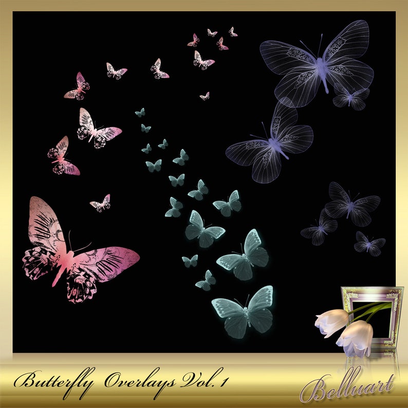 10 Butterfly Overlays Vol. 1 Butterflies Clip Etsy