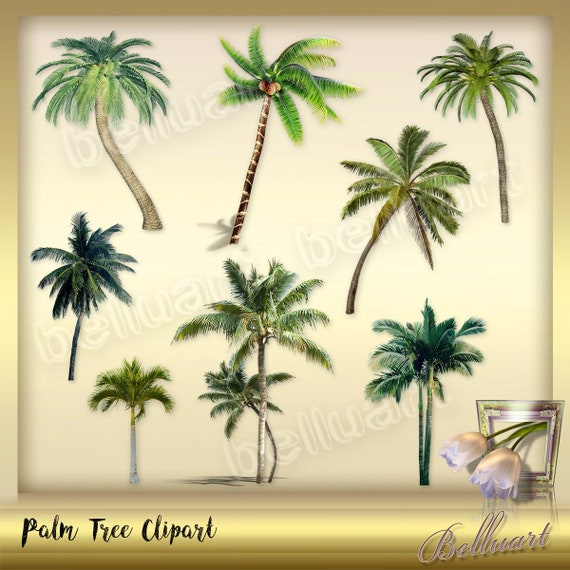 10 Palm Trees Clip Art Palm Leaves Clipart Tropical Clip Etsy