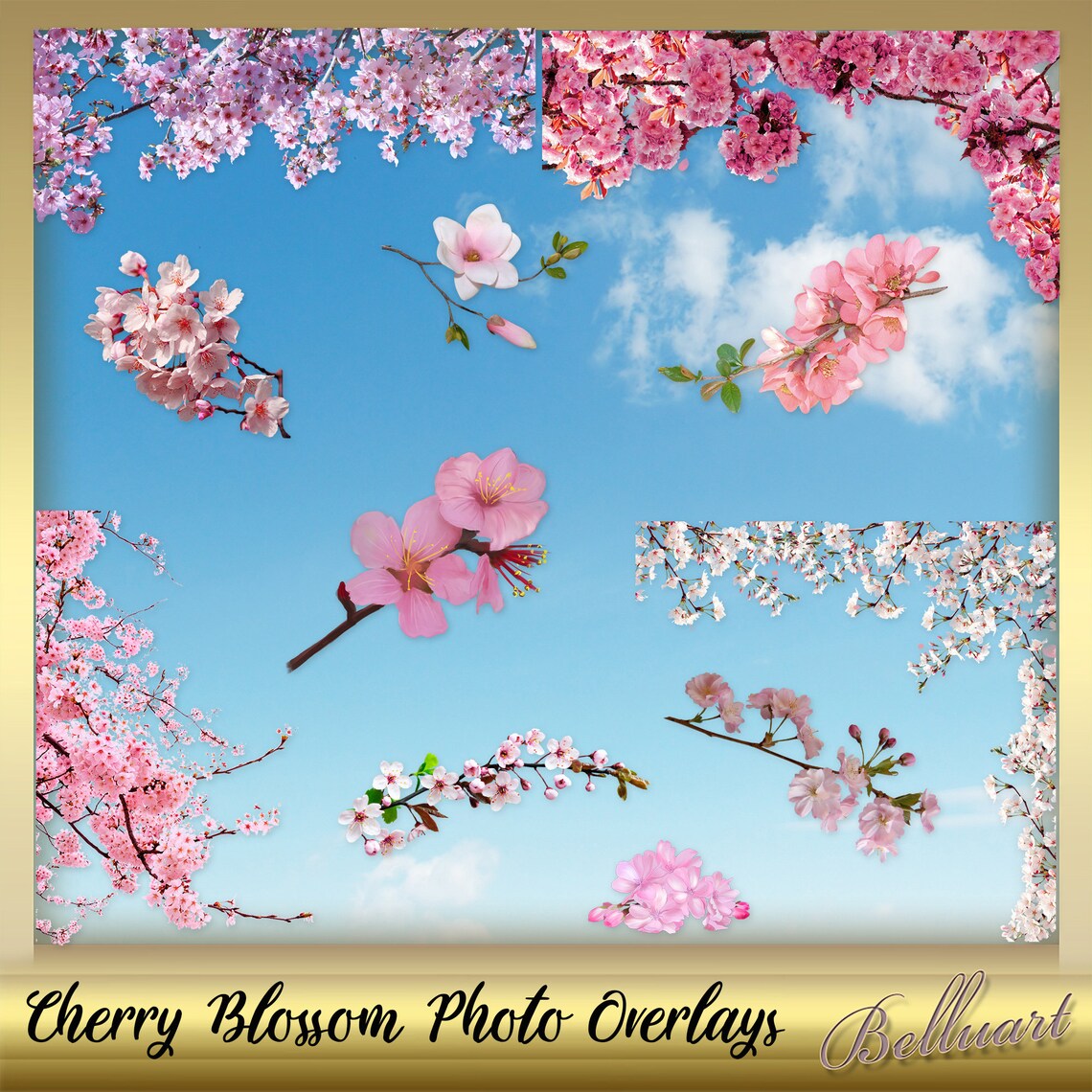 12 Cherry Blossom Photo Overlays Cherry Blossom Real Style Etsy Australia