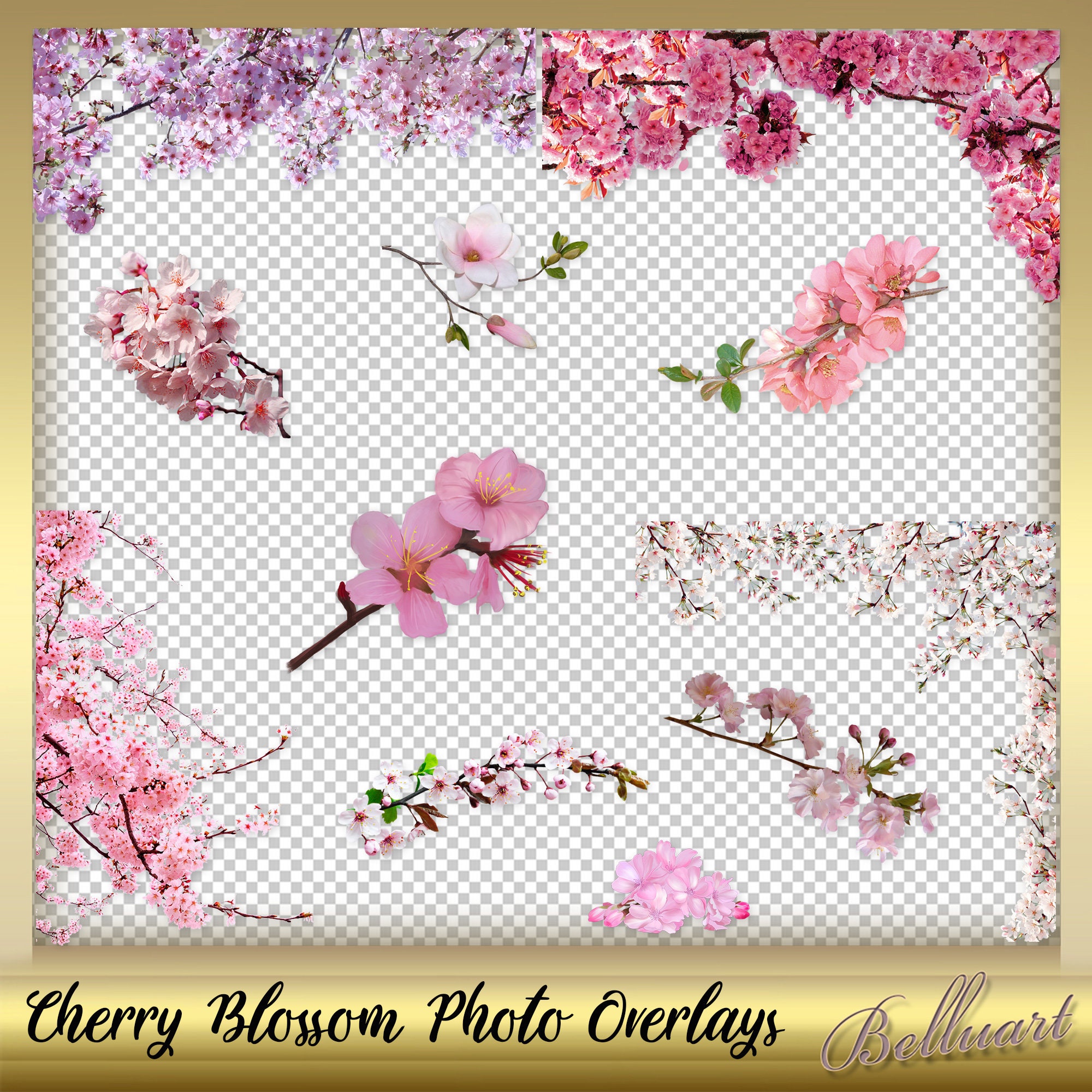 12 Cherry Blossom Photo Overlays Cherry Blossom Real Style Etsy Australia