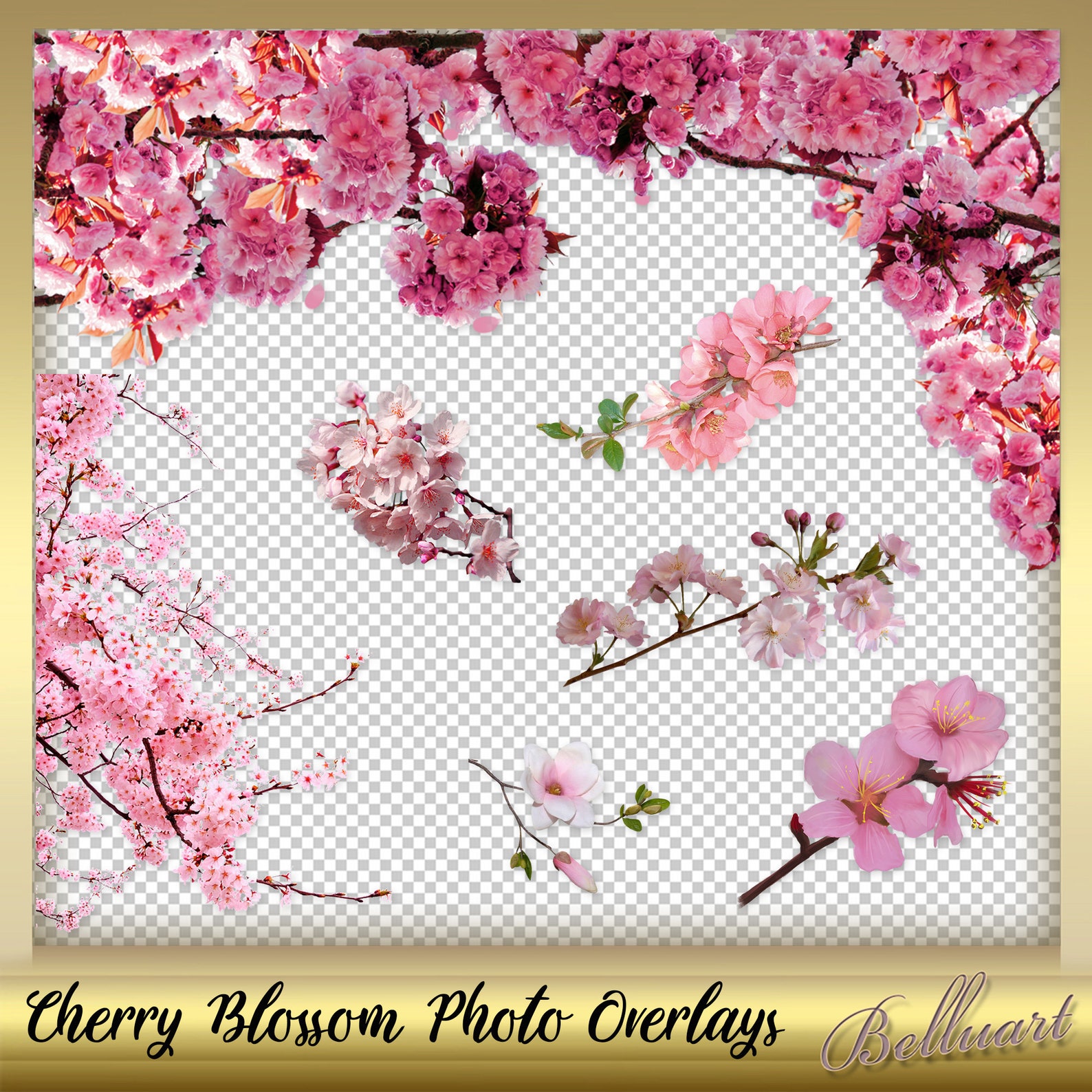 12 Cherry Blossom Photo Overlays Cherry Blossom Real Style Etsy Australia