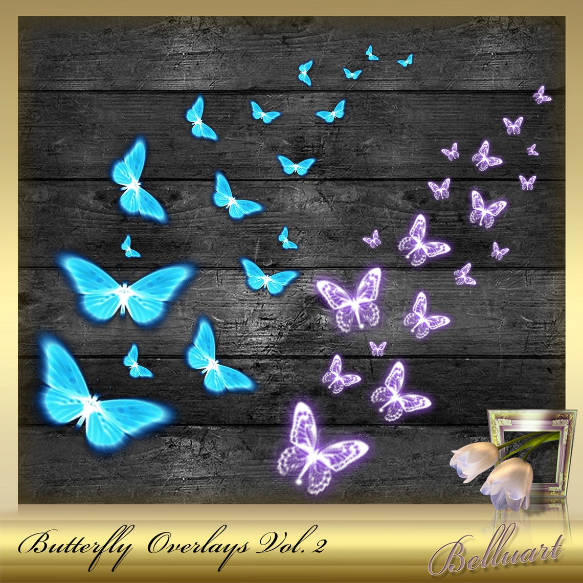 10 Butterfly Overlays Vol. 2 Butterflies Clip Etsy