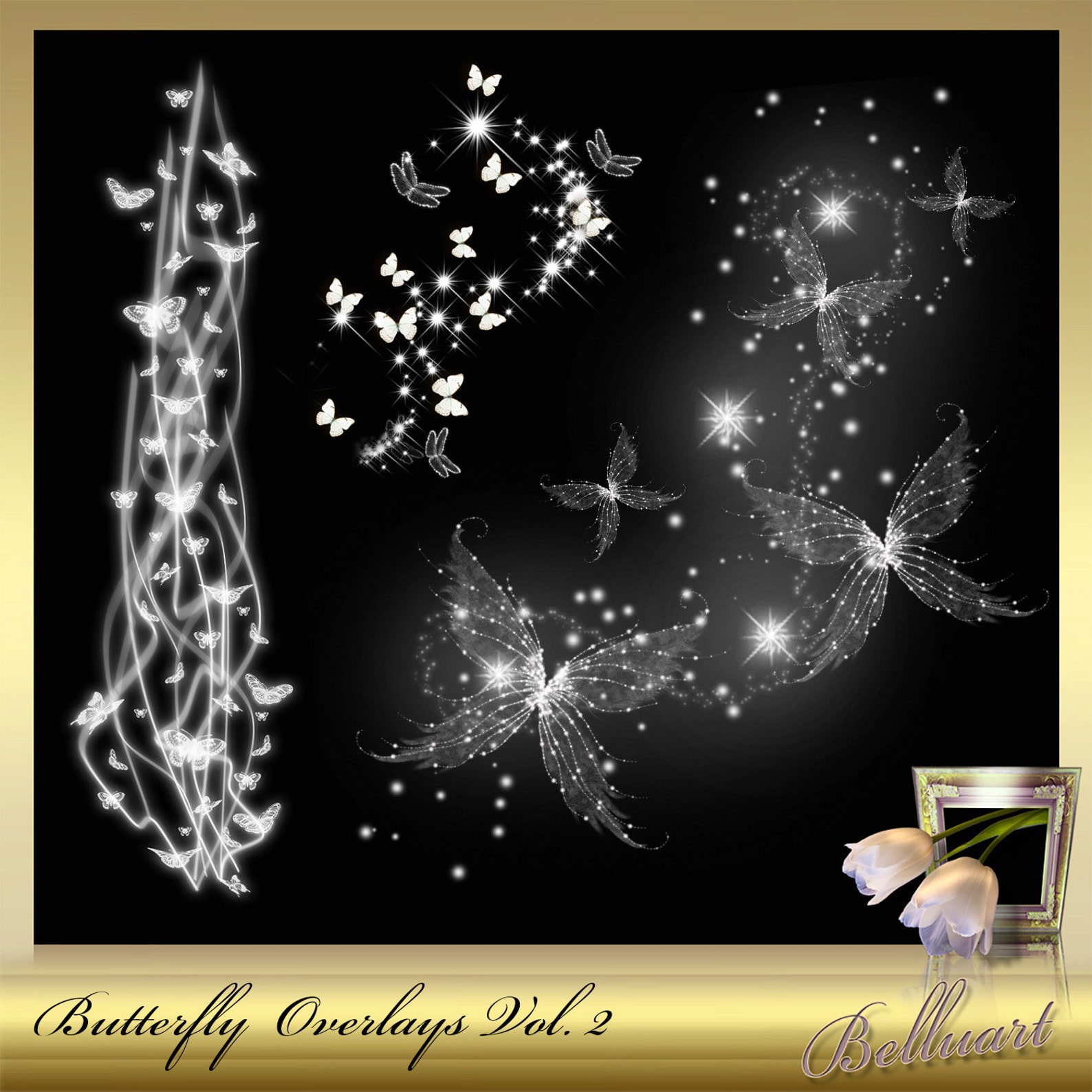 10 Butterfly Overlays Vol. 2 Butterflies Clip Etsy.de