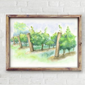 Watercolor painting of vineyard art, Niagara on the Lake grapevine print, vineyard wall art, personalized art, wine lovers gift