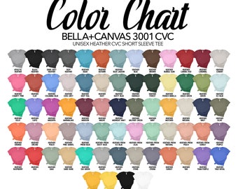 Bella Canvas 3001 Unisex Soft Style T Shirt Color and Size Choices