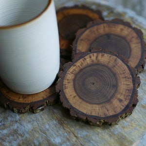 Rare Walnut Tree Wood Coasters with Bark (4-Pack)
