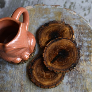 Shou Sugi Ban Style Burned Natural Tree Wood Coasters with Bark (4 or 6 Pack) | Japanese Style Tree Wood Coasters | Shou Sugi Japanese