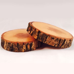 Jumbo Size Natural Tree Wood Coasters with Bark (2-Pack), Thick Cut Tree Wood Slices Sealed & Protected, Reclaimed Tree Wood Drink Coasters
