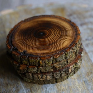 Shou Sugi Ban Style Burned Natural Tree Wood Coasters with Bark (4 or 6 Pack) | Japanese Style Tree Wood Coasters | Shou Sugi Japanese