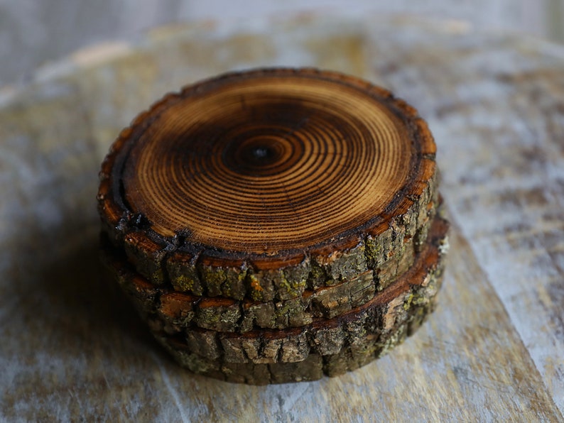 Shou Sugi Ban Style Burned Natural Tree Wood Coasters with Bark (4 or 6 Pack) | Japanese Style Tree Wood Coasters | Shou Sugi Japanese