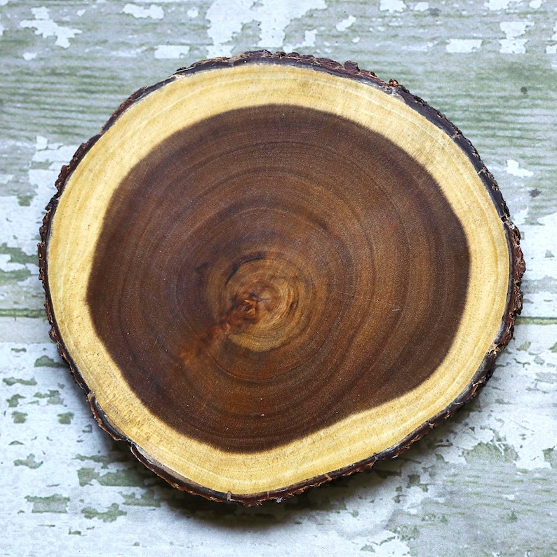 May include: A round wooden slice with a dark brown center and a light brown outer ring. The wood grain is visible in the center.