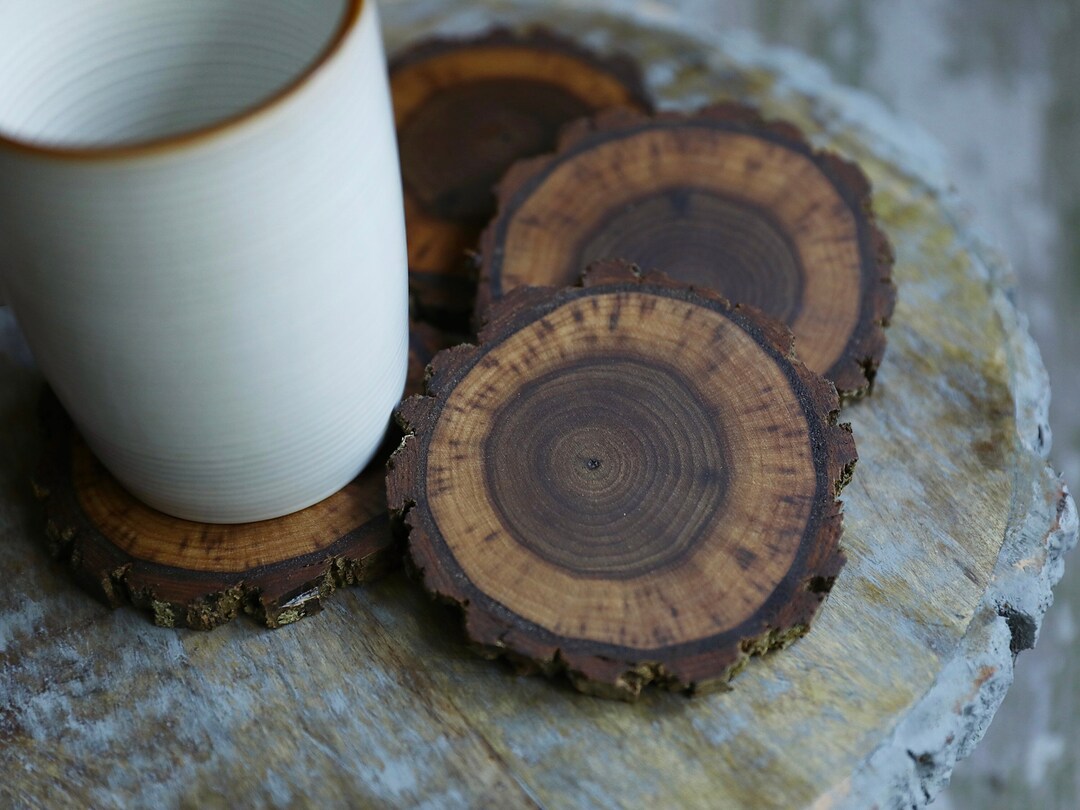 Rare Walnut Tree Wood Coasters With Bark (4-pack) - Etsy