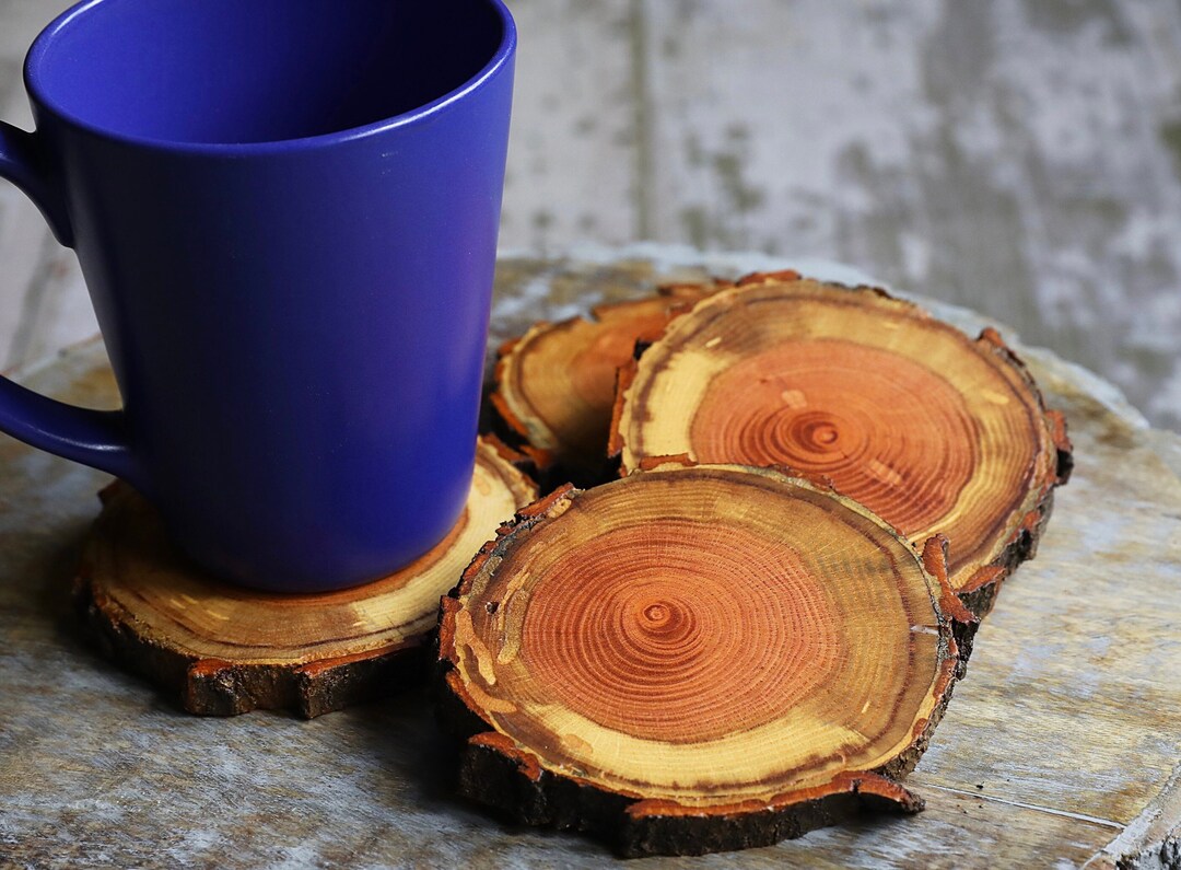 Rare Red Oak Natural Tree Wood Coasters With Bark (4 or 6 Pack), House ...