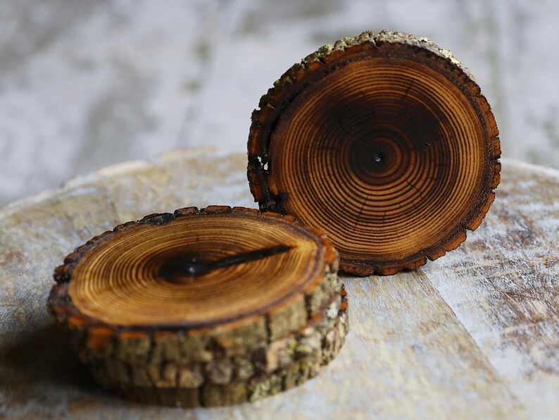 Shou Sugi Ban Style Burned Natural Tree Wood Coasters with Bark (4 or 6 Pack) | Japanese Style Tree Wood Coasters | Shou Sugi Japanese