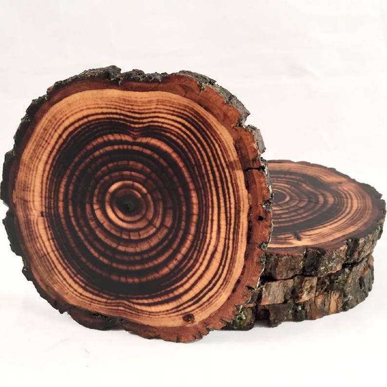 Shou Sugi Ban Style Burned Natural Tree Wood Coasters with Bark (4 or 6 Pack) | Japanese Style Tree Wood Coasters | Shou Sugi Japanese
