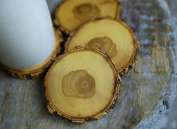 Natural Wood Coasters, With Bark, Tree Wood