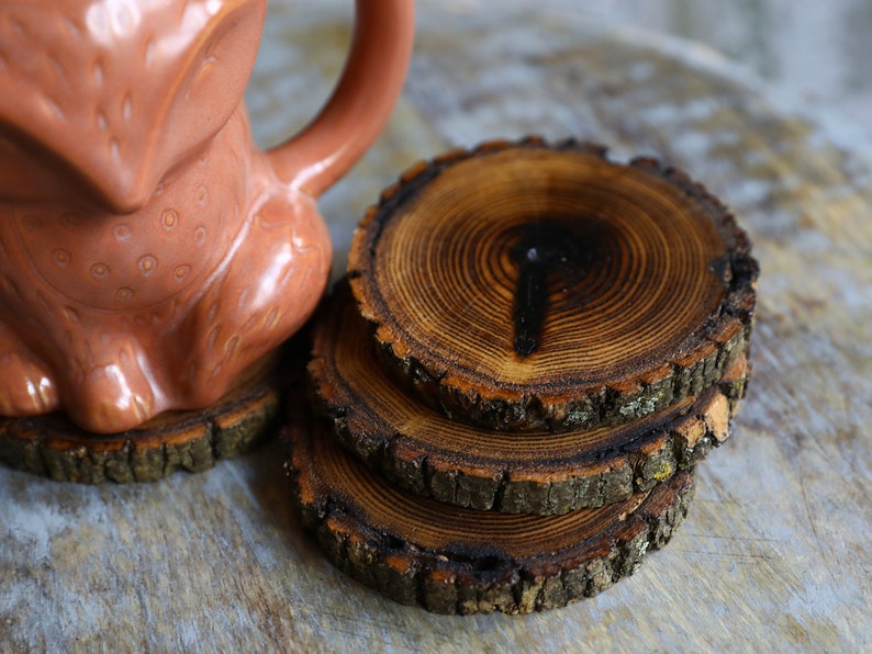 Shou Sugi Ban Style Burned Natural Tree Wood Coasters with Bark (4 or 6 Pack) | Japanese Style Tree Wood Coasters | Shou Sugi Japanese