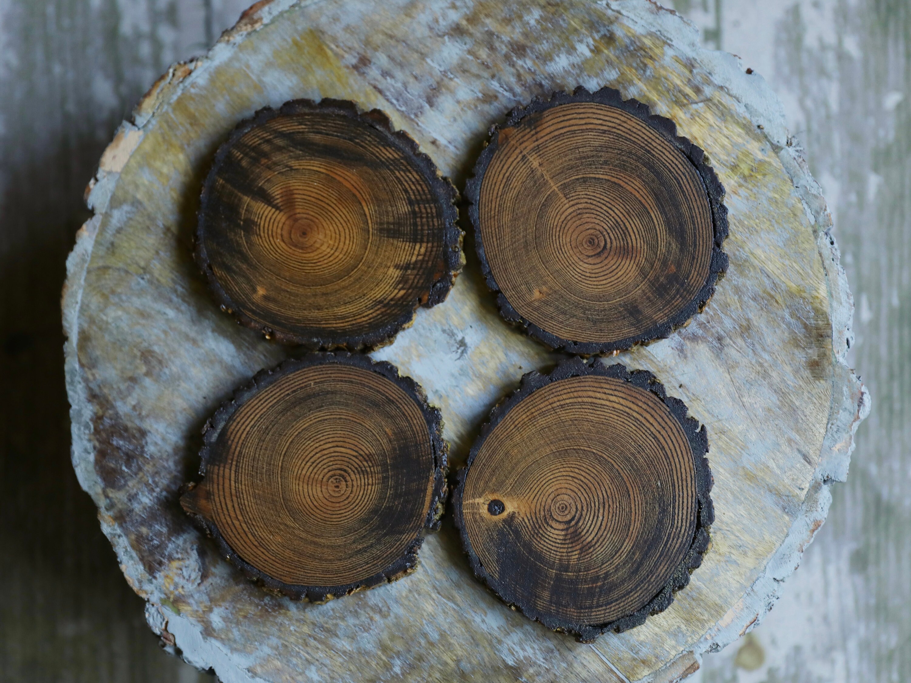 Natural Tree Wood Coasters With Bark & Dark Stain (4-pack) - Etsy