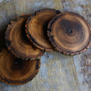 Shou Sugi Ban Style Burned Natural Tree Wood Coasters with Bark (4 or 6 Pack) | Japanese Style Tree Wood Coasters | Shou Sugi Japanese