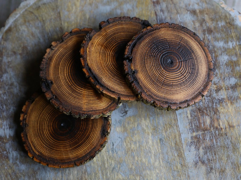 Shou Sugi Ban Style Burned Natural Tree Wood Coasters with Bark (4 or 6 Pack) | Japanese Style Tree Wood Coasters | Shou Sugi Japanese