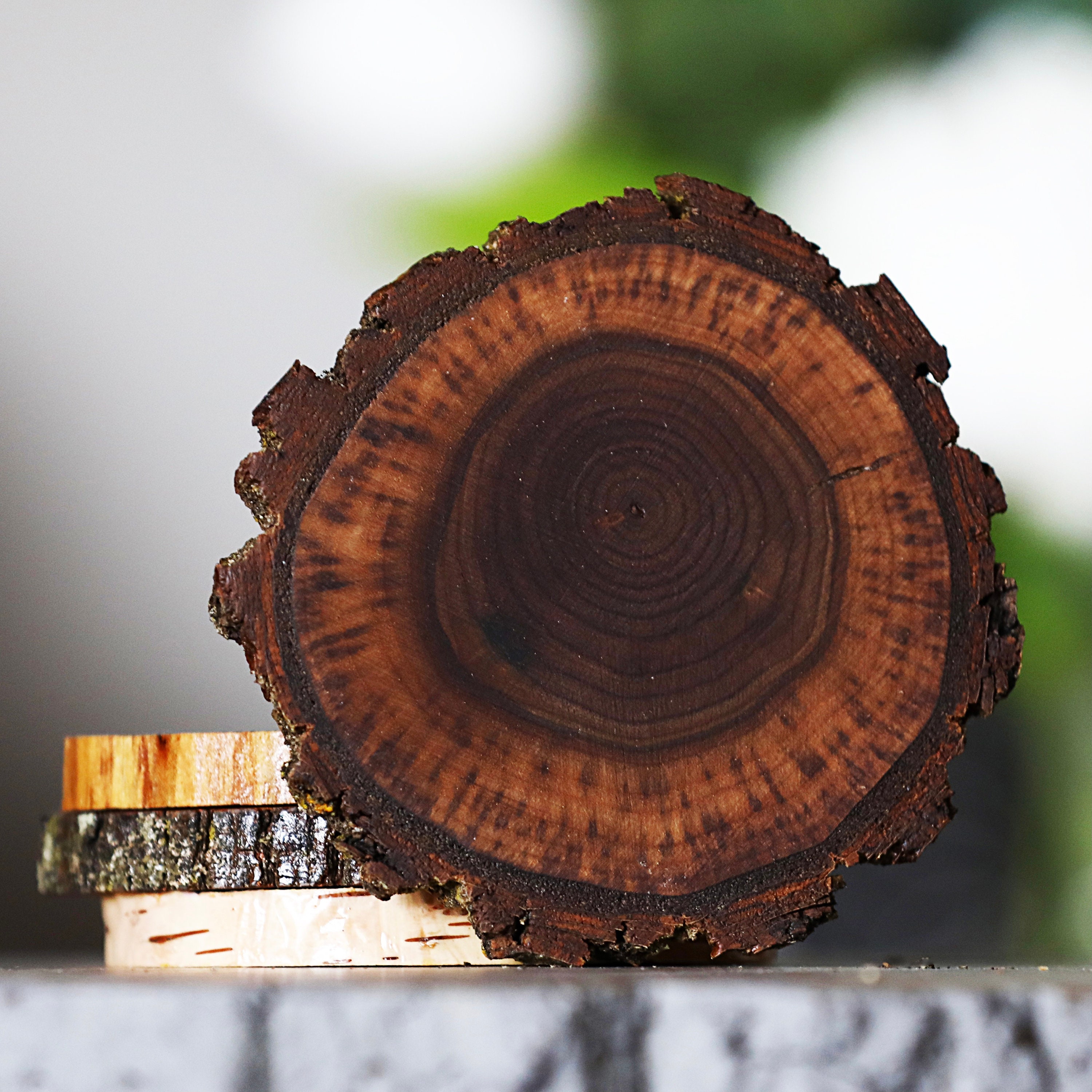 Variety Pack Natural Tree Wood Coasters With Bark (4-pack) | Coasters ...