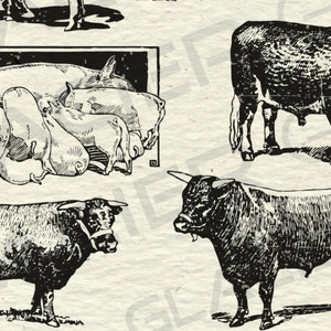 Vintage Farm Animal Illustrations Printable Farm Animals Clipart Farm ...