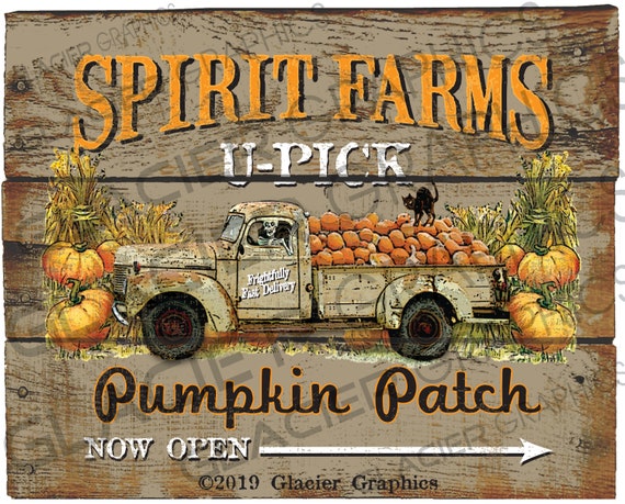 THE SPIRIT OF MY COUNTRY サイン入り THE SPIRIT OF MY COUNTRY