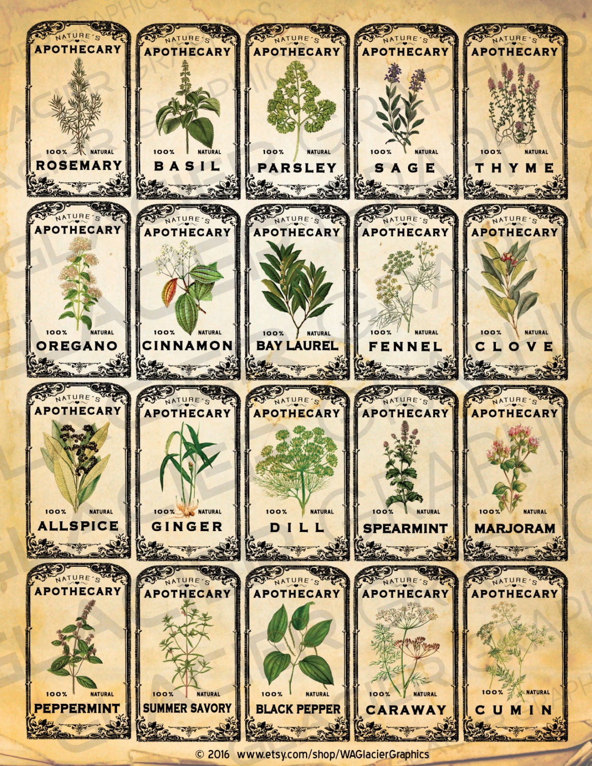 Vintage Herb & Spice Canning Labels for basil, thyme, oregano herbs –  CanningCrafts
