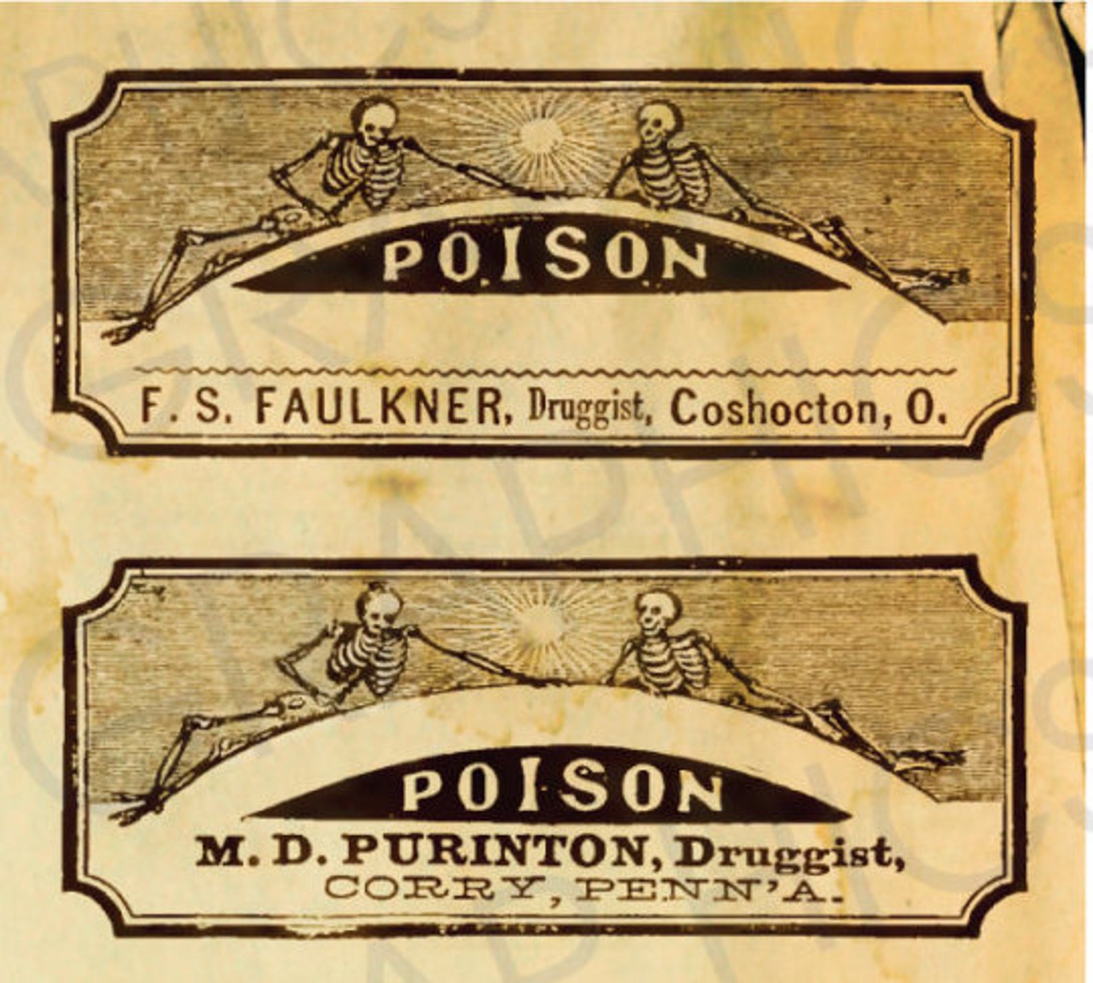 Blank Halloween Printable Poison Labels Digital Download Etsy