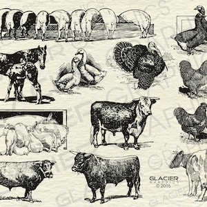 Vintage Farm Animal Illustrations Printable Farm Animals Clipart Farm Animals Vector Country Farm Animals Clipart Copyright Free